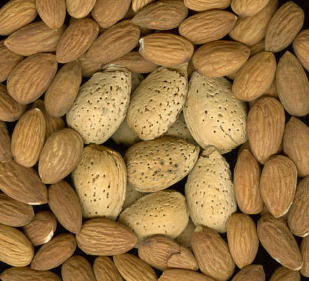 almonds, shelled and unshelled, macroの写真素材