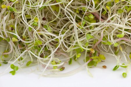 broccoli, clover and radish sprouts with water droplets on white backgroundの写真素材