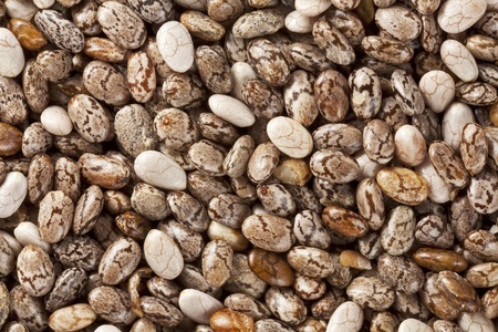 background of organic chia seeds rich in omega-3 fatty acids, two times life-size magnification