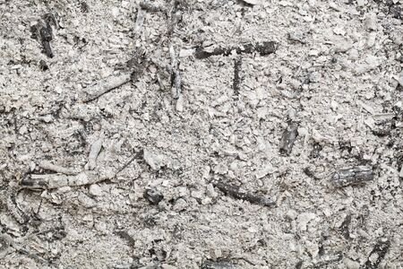 burned wood ash background from home fireplaceの写真素材