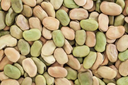 background and texture of dried fava (broad) beanの写真素材