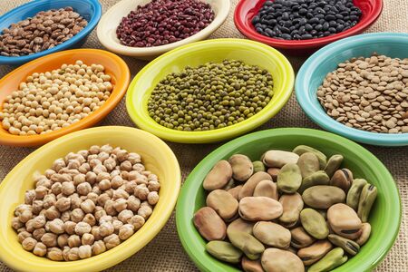variety of legumes (fava bean, mung bean, soy, green lentils, adzuki, black, pinto, chickpea) in...