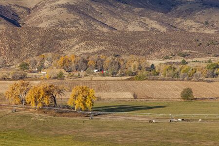 farmland at foothills of Rocky Mountains at Belvue near Fort Collins, Colorado; fall scenery at sunriseの写真素材
