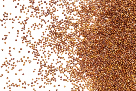 red quinoa grain spread on white background with backlight - top viewの写真素材