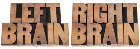 left brain and right brain  -  psychology concept - isolated text in vintage letterpress wood type printing blocksの写真素材