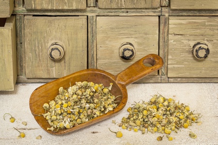 organic chamomile herbal tea - rustic wooden scoop and a pile on rough white painted barn wood with a primitive apothecary drawer cabinetの写真素材