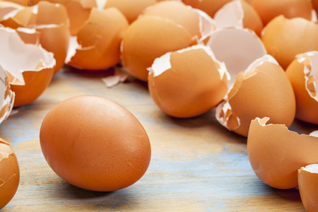 broken eggshells