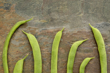pods of fresh green French beans against slate rock backgroundの写真素材
