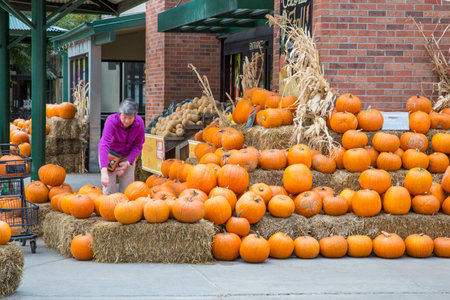 FORT COLLINS, CO, USA - October 9, 2014:  Shopping for  a pumpkin at the entrance to a local Whole Foods Market store specializing in natural and organic foods.のeditorial素材