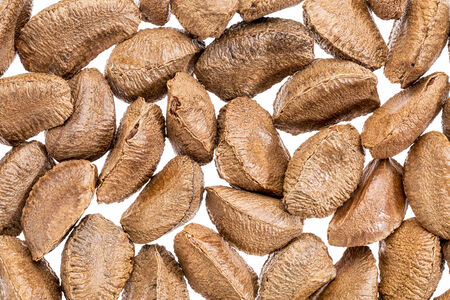 Brazilian nuts in shells against white background