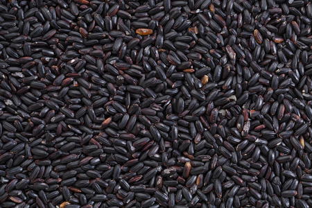 background and texture of forbidden rice grainの写真素材