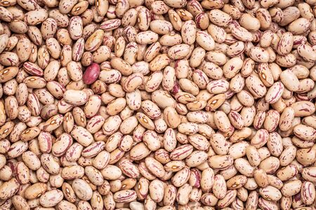 background and texture of crimson cranberry beans (similar to pinto bean, but different in taste)の写真素材