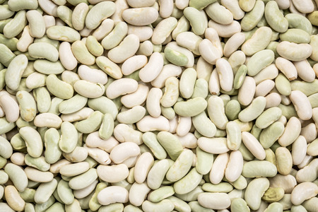 background and texture of flageolet  beans (a variety of the common bean originating from France, the flageolet is picked before full maturity and dried in the shade to retain its green color).の写真素材