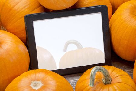 blank digital tablet surrounded by pumpkins, Halloween or Thanksgiving decorationの写真素材