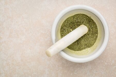 dried stevia leaves crushed in a mortar - natural sweetener, sugar substituteの写真素材