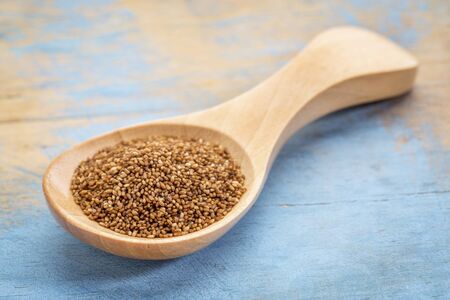 teff grain on a wooden spoon against blue painted grunge woodの写真素材