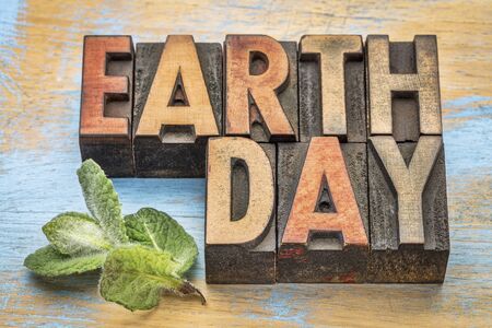 earth day - word abstract in vintage letterpress wood type with a green peppermint leaf