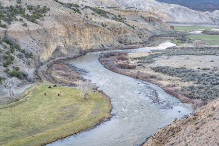 valley of the upper Colorado RIver above Dotsero, Colorado, springtime scenery with a cattle on pastureの写真素材