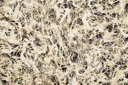 Amate bark paper  with lace design against black background. This ancient paper dates back to...