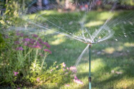 water sprinklers running in a garden with a variety of flowersの写真素材