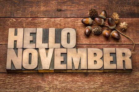 hello November greeting card - letterpress wood type blocks against grained wood with acorn decorationの写真素材