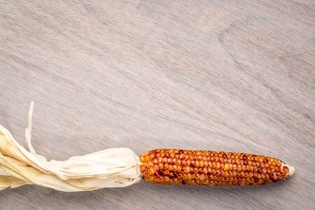 grained wood background with an ear of decorative cornの写真素材