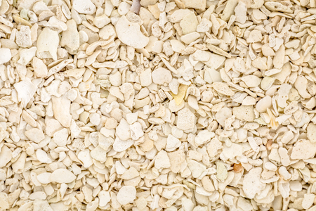 life size macro of colorful sand grain from Marquesas Key Beach, Monroe County, Floridaの写真素材