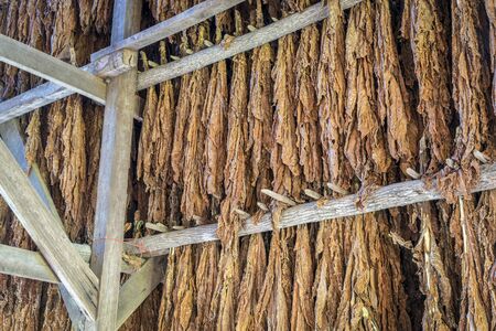 Drying tobacco leaves in a shed - an exhibit along Natchez Trace Parkwayの写真素材