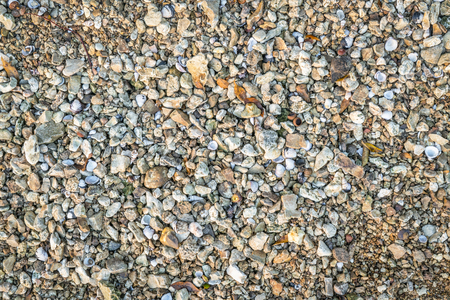 natural background and texture of a river shore: gravel, rocks and shellsの写真素材