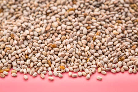 background of organic white chia seeds rich in omega-3 fatty acidsの写真素材