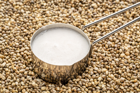 Hemp milk in a metal measuring scoop against background of dry seedsの写真素材