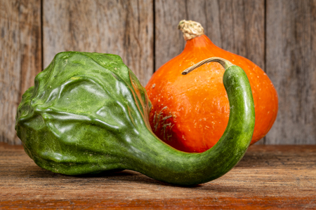 green dinosaur and red kuri squash against rustic barn wood - fall holidays decorationの写真素材