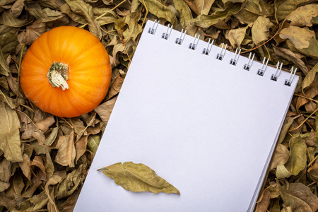 blank spiral sketchbook against dry fall leaves with ornamental gourdの写真素材