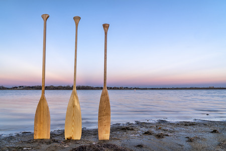 three wooden canoe paddles on a lake shore at dusk