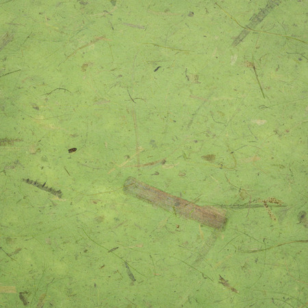 background of green Thai banana paper with heavy banana bark inclusionsの写真素材