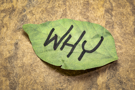 why question on a leaf shaped sticky note against handmade bark paperの写真素材