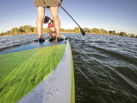 paddling inflatable stand up paddleboard with a pitbull dog on lake in Colorado, POV from an action cameraの写真素材