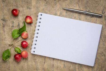 blank spiral art sketchbook against textured bark paper with fresh crab apples, fall holidays greeting card conceptの写真素材