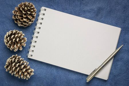 blank art sketchbook with frosty pine cones against arak blue handmade paper, winter holiday...