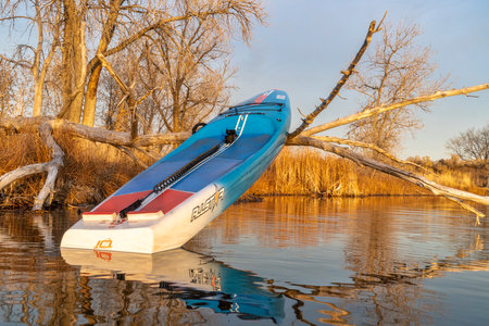 Fort Collins, CO, USA - November 19, 2019: Racing stand up paddleboard, All Star by Starboard, on a shore of a calm lake in late fall scenery, paddling workout and fitness concept.のeditorial素材