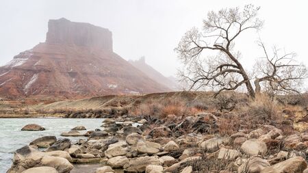 Colorado River at Rocky Rapid above Moab, Utah in a foggy winter sceneryの写真素材