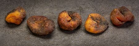 sun dried apricots - row of fruits on textured handmade paper, panoramic web banner