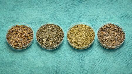 samples of seaweed diet supplements (bladderwrack, sea lettuce, wakame and Irish moss) - healthy eating and nutrition conceptの写真素材