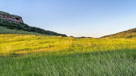 early summer scenery of Rocky Mountains foothills, Lory State Park in northern Coloradoの写真素材