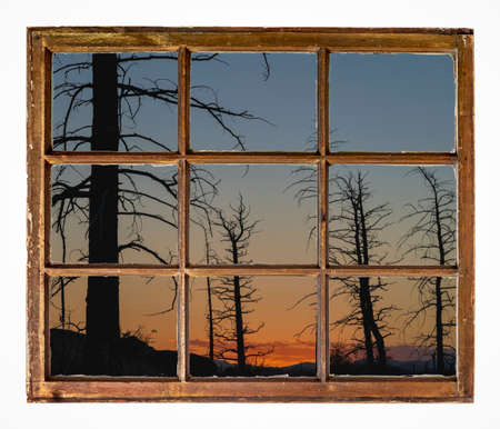 sunset silhouette of burnt pine forest as seen from a vintage cabin window