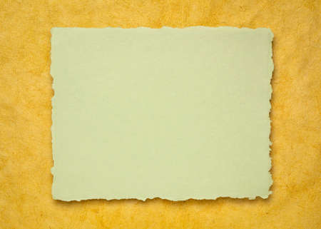 yellow abstract - a sheet of blank Indian handmade rag paper against textured bark paper, copy space