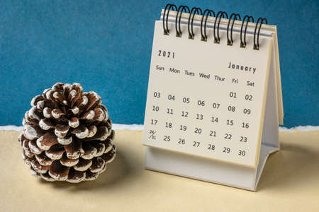 January 2021- spiral desktop calendar against handmade paper with a decorative frosty pine cone, season,  time and business conceptの写真素材