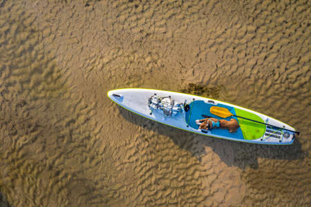 stand up paddling with a dog on a shallow river - Dismal River at Nebraska National Forest, aerial...