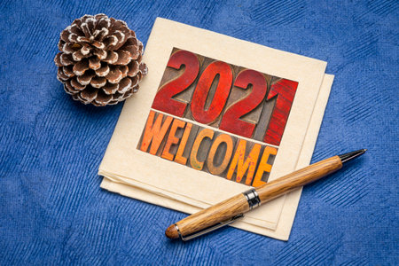 2021 welcome - word abstract in vintage letterpress wood type on a napkin with a frosty decorative pine cone, New Year greeting cardの写真素材