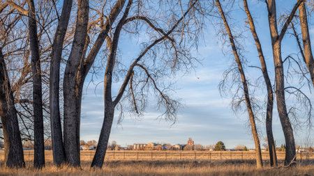 one of Fort Collins breweries as seen from Poudre River bike trail, fall or winter sceneryの写真素材